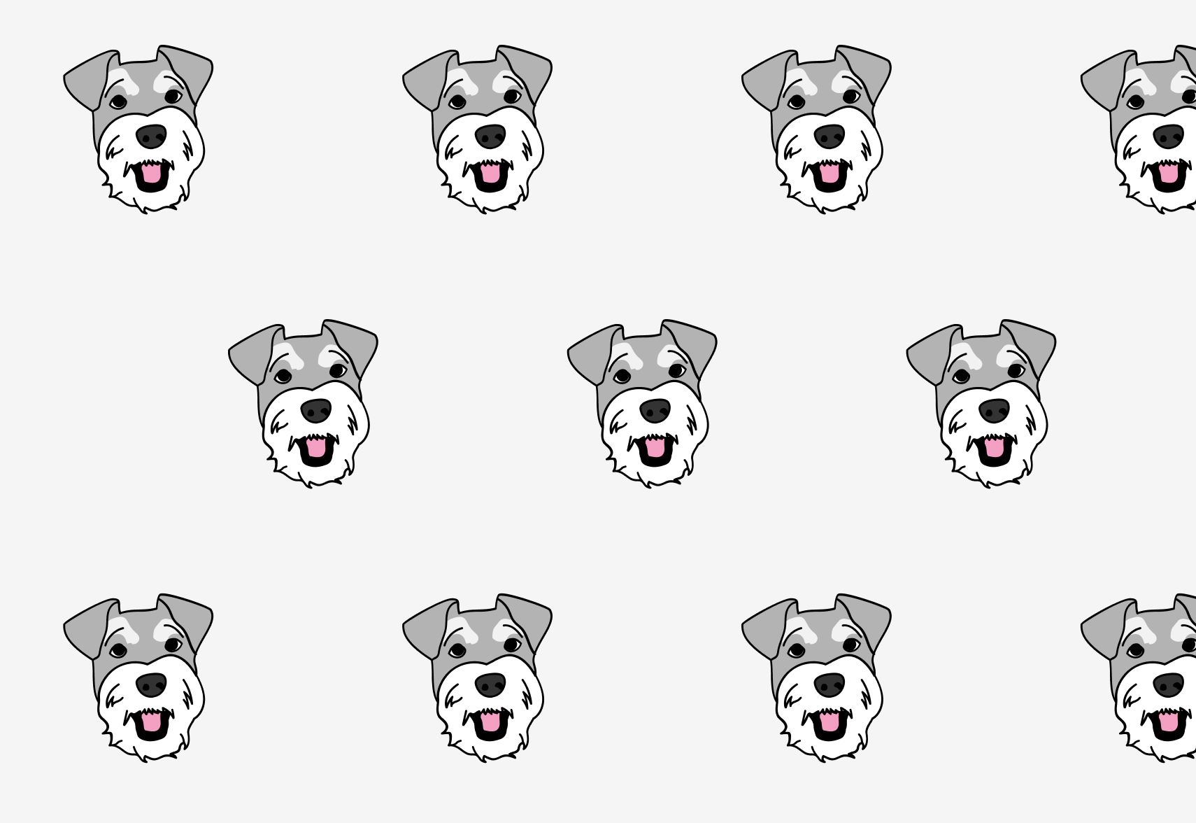 Miniature Schnauzer Pet Insurance Fetch Pet Insurance